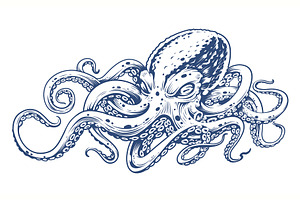 Octopus Vector Art