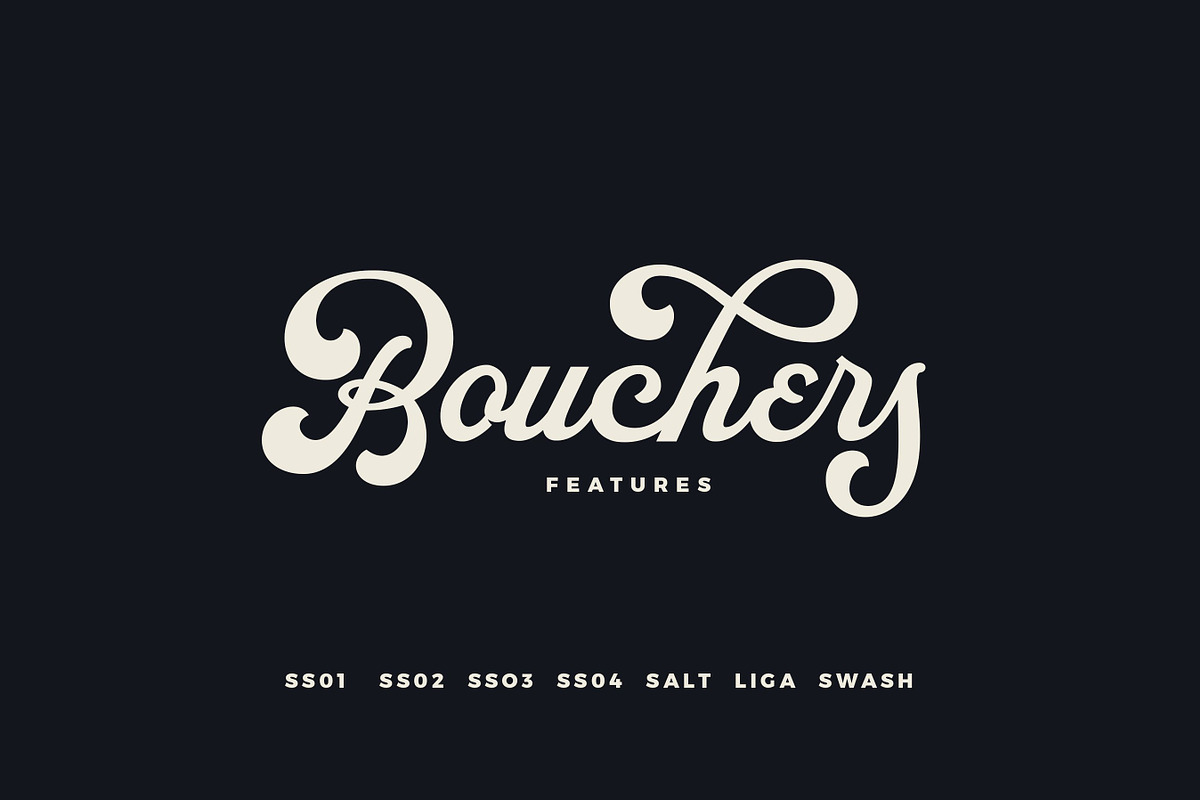 Whole Store Bundle | 95 OFF, a Serif Font by Swistblnk Std. (Photo 14 of 60)