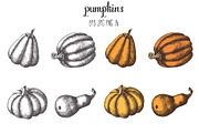 Pumpkins and Leaves Set, an Illustration by Tabiti (Thumbnail 2 of 14)