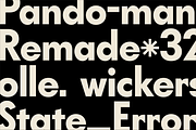 The Diverse Font Bundle, a Sans Serif Font by Bnick (Thumbnail 34 of 34)