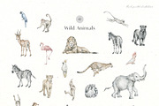 Tropical Jungle Watercolor Animals, an Animal Illustration by Kreker Kate (Thumbnail 3 of 14)