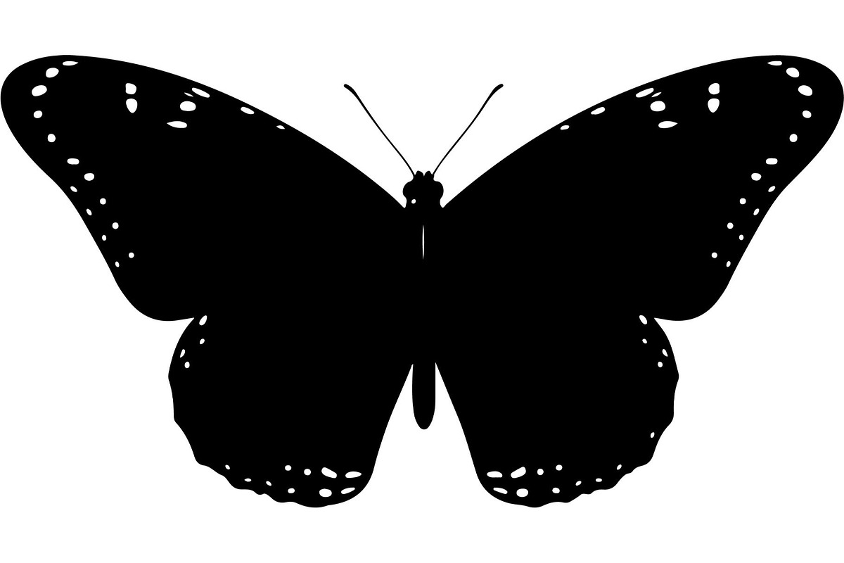 Butterfly Silhouette Bundle, an Object Graphic by Designer_Momina (Photo 16 of 20)