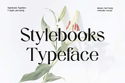 Stylebooks Typeface Serif Font, a Serif Font by UICreative (Thumbnail 1 of 13)