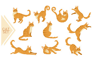 Collection of Ginger cat cartoon