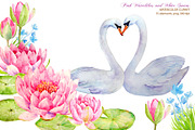 Wedding Clipart Waterlily and Swans, an Illustration by Corner Croft (Thumbnail 1 of 3)