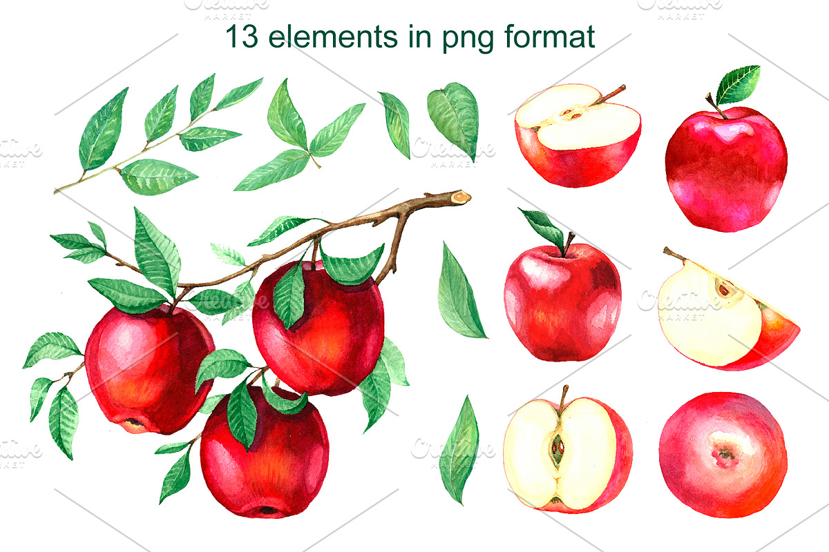 Watercolor apples. Collection., a Food Illustration by Art Watercolor (Photo 2 of 3)