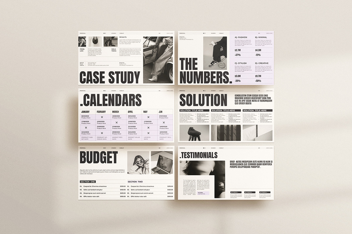 Proposal Presentation Template preview 8
