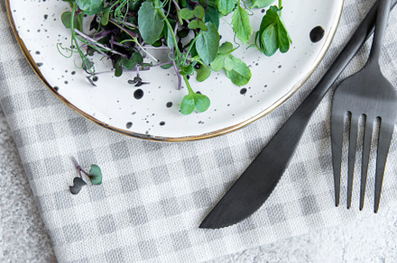 Assortment of micro greens on concrete background, a Food & Drink Photo by Olena Rudo