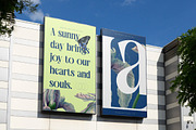 Glowfor Modern Serif Display Font, a Serif Font by timelesstype.co (Thumbnail 17 of 20)
