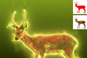Light Photoshop Action, a Preset Add-On by MRI STUDIO (Thumbnail 10 of 14)