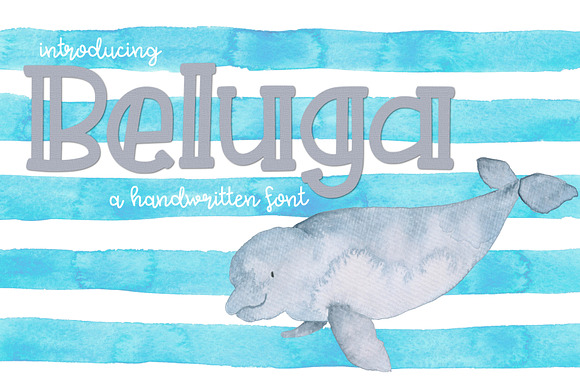 Beluga preview 2