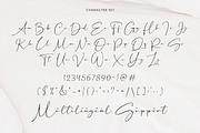 Southerns - Handwritten Script Font, a Script Font by Flawless And Co (Thumbnail 9 of 10)