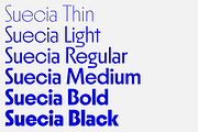 Suecia, a Sans Serif Font by Haus Type (Thumbnail 3 of 7)