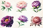 Pink & Purple Peony Flowers Clipart, an Illustration by Rose Art (Thumbnail 3 of 5)