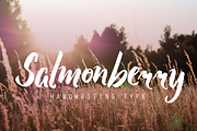 Salmonberry, a Script Font by Fontdation (Thumbnail 1 of 4)