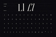 Licking Nineties Serif, a Serif Font by Designsation (Thumbnail 10 of 10)