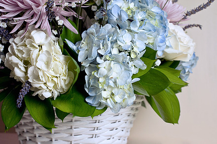 Blue and white hydrangea arrangement containing flowers, floral, and florist