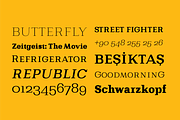 Bodrum Slab, a Slab Serif Font by BULENT YUKSEL (Thumbnail 9 of 12)