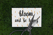 Columbine Script + bonus, a Script Font by Carola-Corujan (Thumbnail 2 of 7)