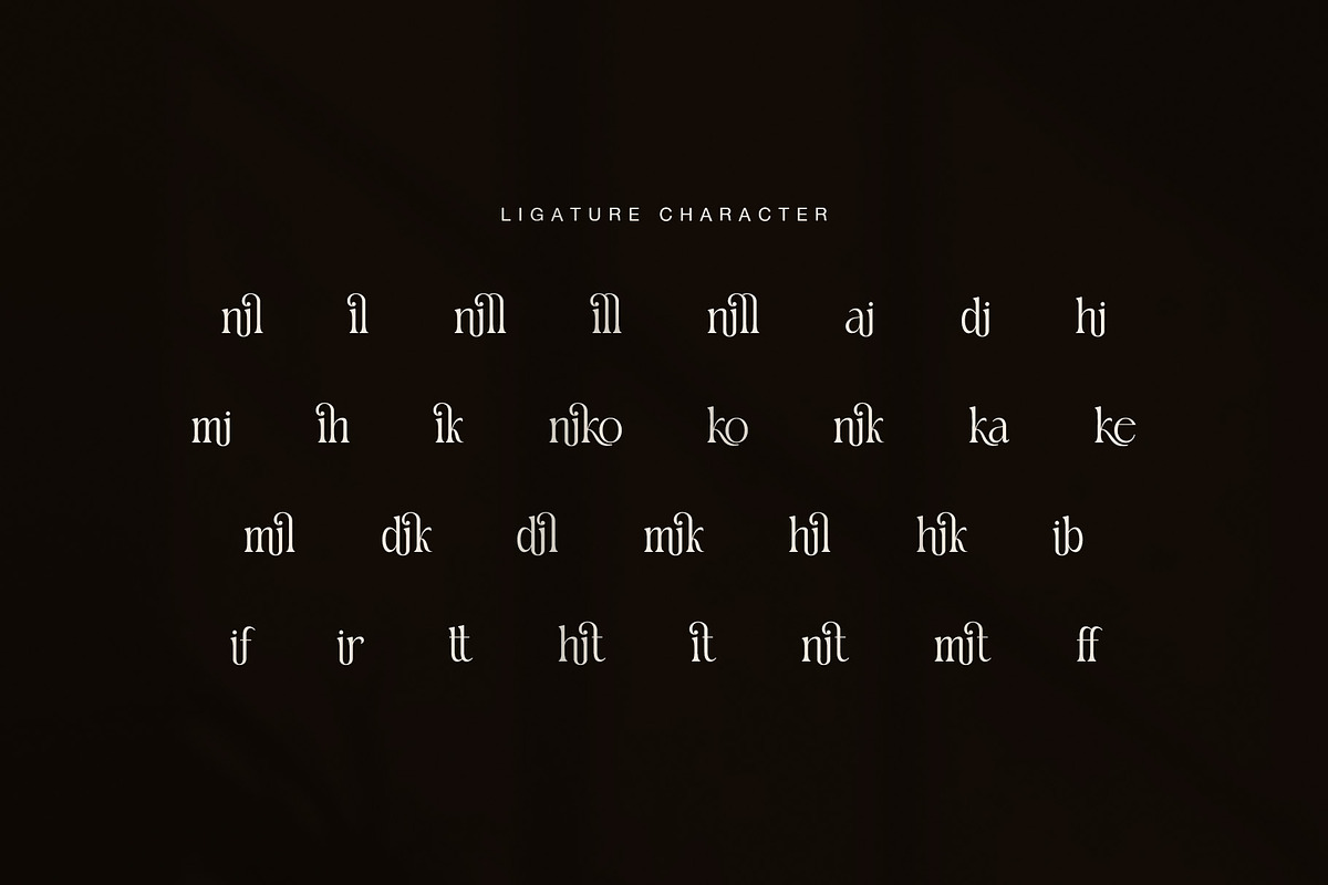 Manillo Elegant Serif Font, a Serif Font by Graphicxell (Photo 8 of 8)