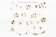 Woodland Animal Clipart, an Animal Illustration by EllyandLima (Thumbnail 9 of 10)