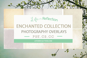 Enchanted Overlay Collection Bundle