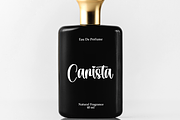 Rustic Panda | Script Font, a Handwritten Font by Scratchones (Thumbnail 4 of 9)