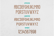 ROUNDLANE, a Serif Font by Bagerich Type Foundry (Thumbnail 3 of 6)
