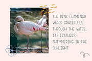 Binky Loop - Authentic Modern Script, a Handwritten Font by roomspace creative lab (Thumbnail 9 of 10)