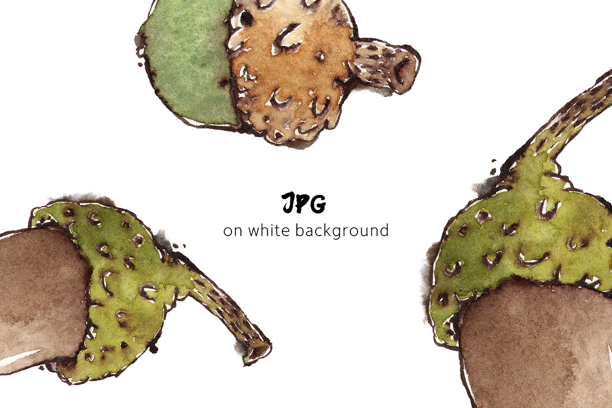 Acorns & Leaves Watercolor Patterns, a Pattern Graphic by Mazheika Store (Photo 4 of 9)