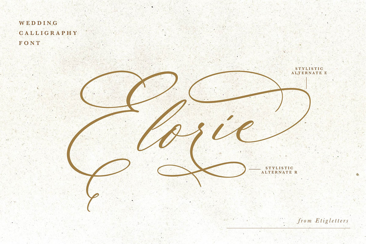Elorie Calligraphy Script, a Script Font by etigletters (Photo 12 of 12)