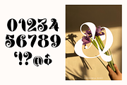Velvoria Script, a Script Font by madeDeduk (Thumbnail 6 of 10)