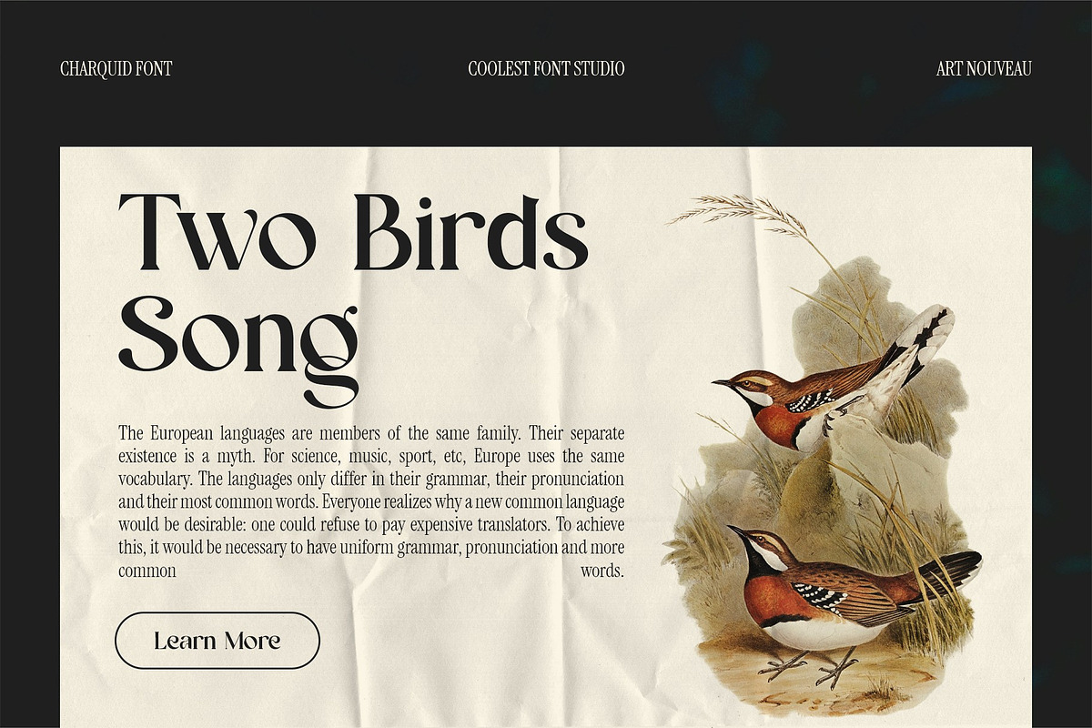 Charquid Font - Serif Font, a Serif Font by Koplexs Studio (Photo 4 of 10)