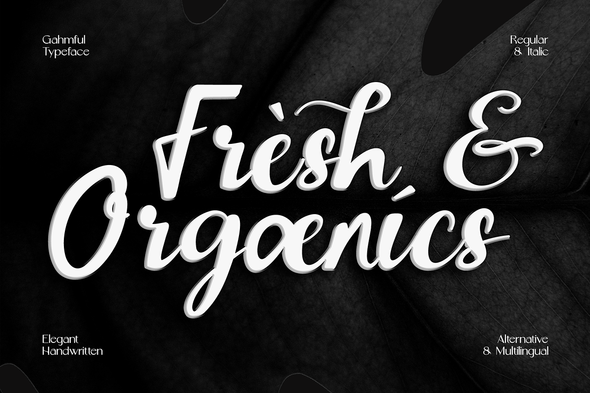 CF Gahmful - Elegant Handwritten, a Handwritten Font by Indotype Foundry (Photo 4 of 10)