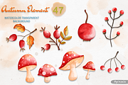 Autumn Animal Clipart, Fall Clipart, an Animal Illustration by Apixsala (Thumbnail 7 of 15)