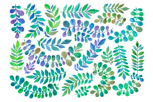 Leaves