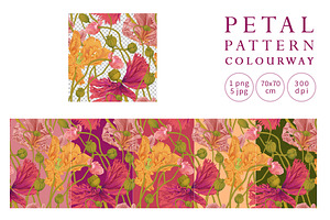 Pattern Collection Petal