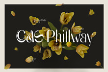 Cas Phillway Elegant Font