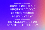 Suika a Modern / Vintage Font, a Serif Font by Lettertype Studio (Thumbnail 13 of 15)