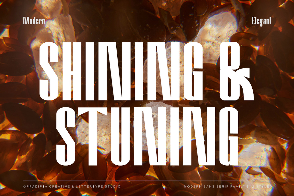 Amvergo Modern Sans Family, a Sans Serif Font by Lettertype Studio (Photo 2 of 18)