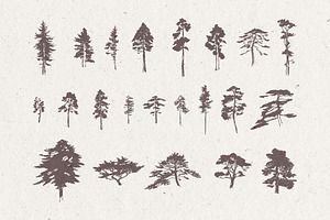 Silhouettes Of Pine And Fir Trees