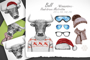 Bull / Wintertime