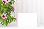 7x5 Card Mockup - 520, a Print Template by Mockup Shop (Thumbnail 2 of 2)