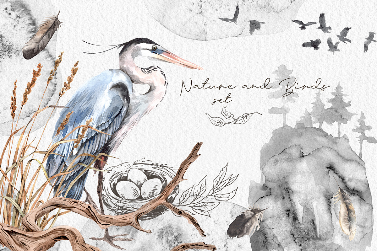Watercolor Nature and Birds set, an Illustration by Alamella (Photo 1 of 13)