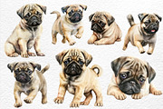 Playful Pugs. Watercolor, an Animal Illustration by Watercolor dreams (Thumbnail 3 of 6)