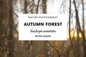 Autumn nature photography set