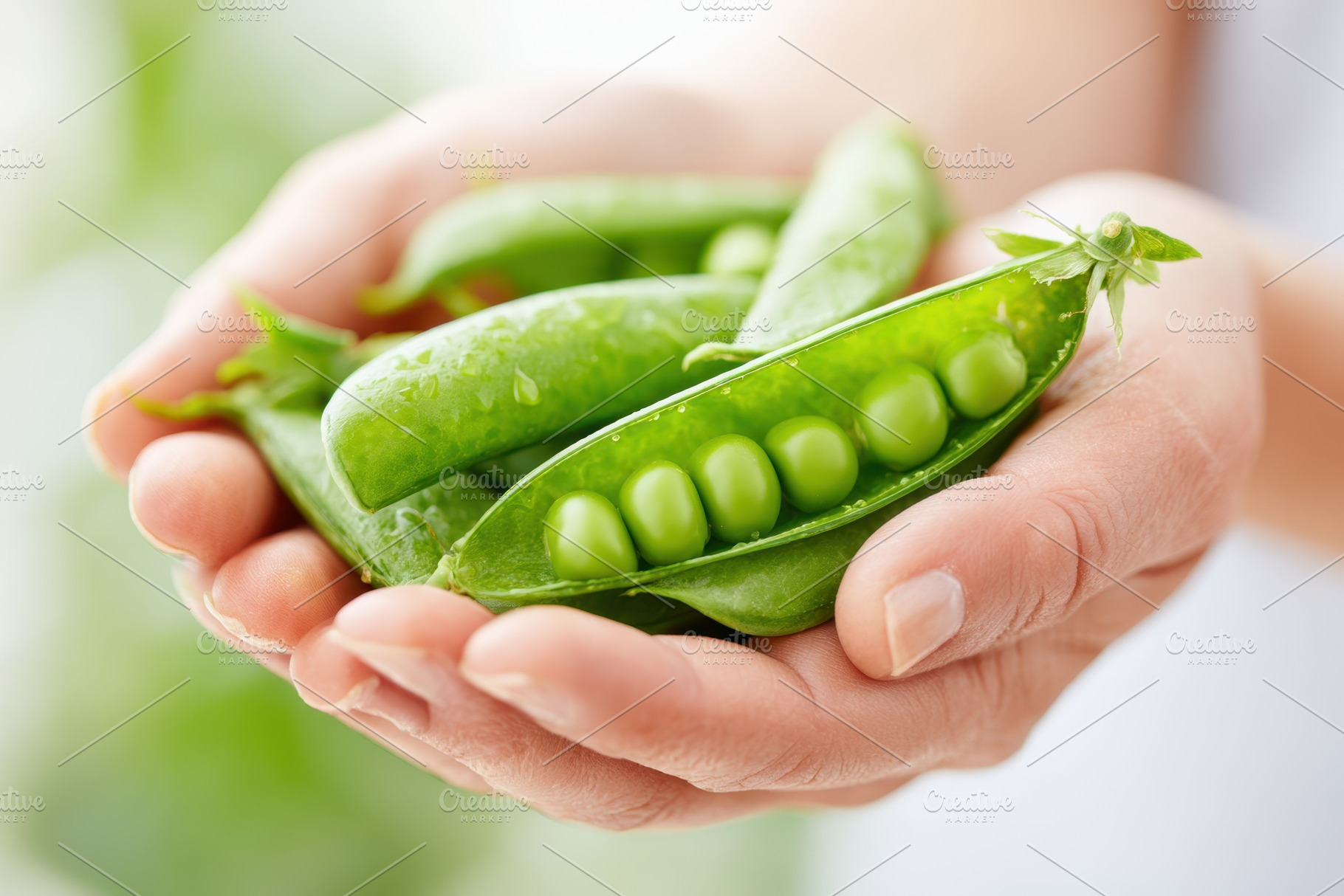 Fresh green peas in a pod, a Food & Drink Photo by AlyaAnd