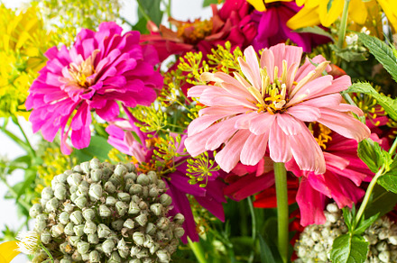Summer bouquet of seasonal flowers, a Nature Photo by Pandateam