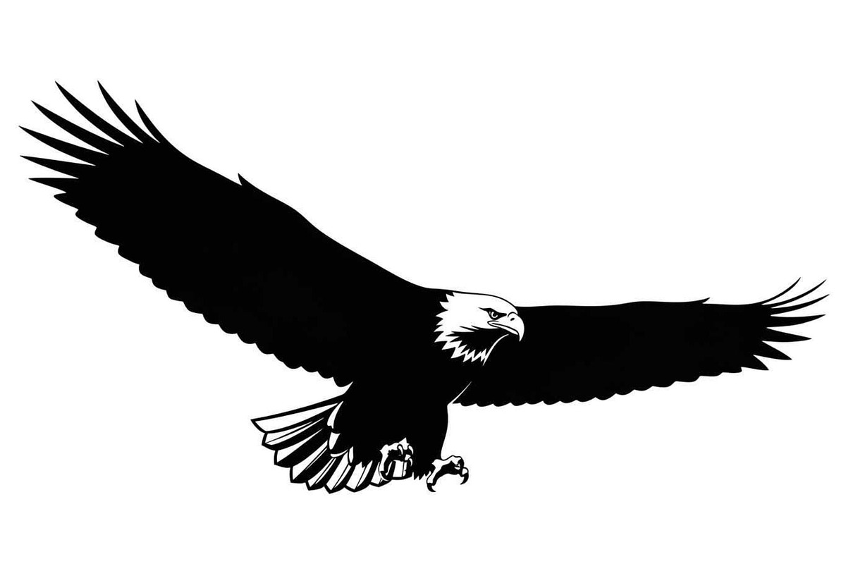 50 Flying Eagle Silhouette Vector Bu, an Illustration by Designs_River (Photo 18 of 51)