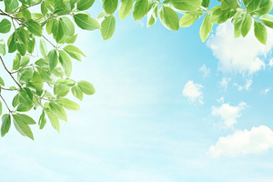 Blue sky and white clouds with green, a Photo by Dvoevnore photos